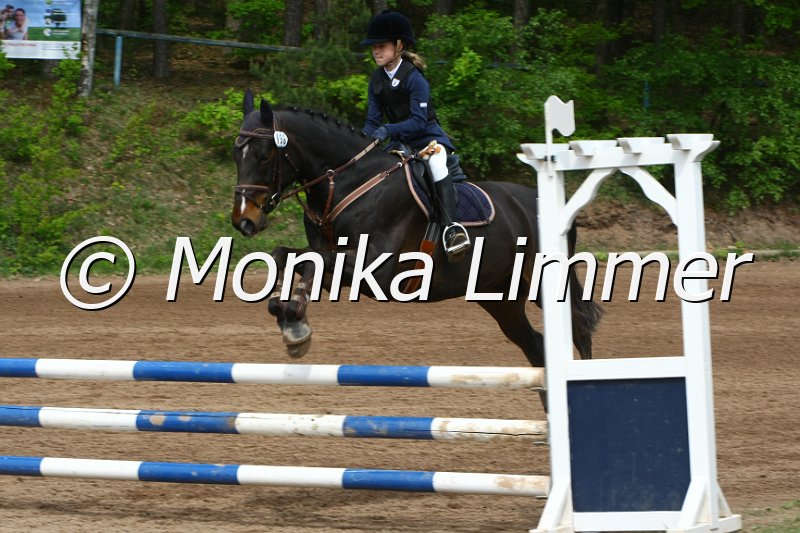 104M3795_Mr.Bombastic_StispringWB E.JPG